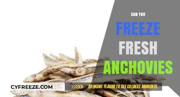 Anchovies in the Freezer: A Guide to Preserving Freshness