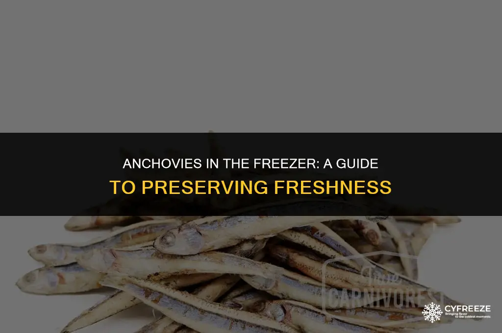 can you freeze fresh anchovies