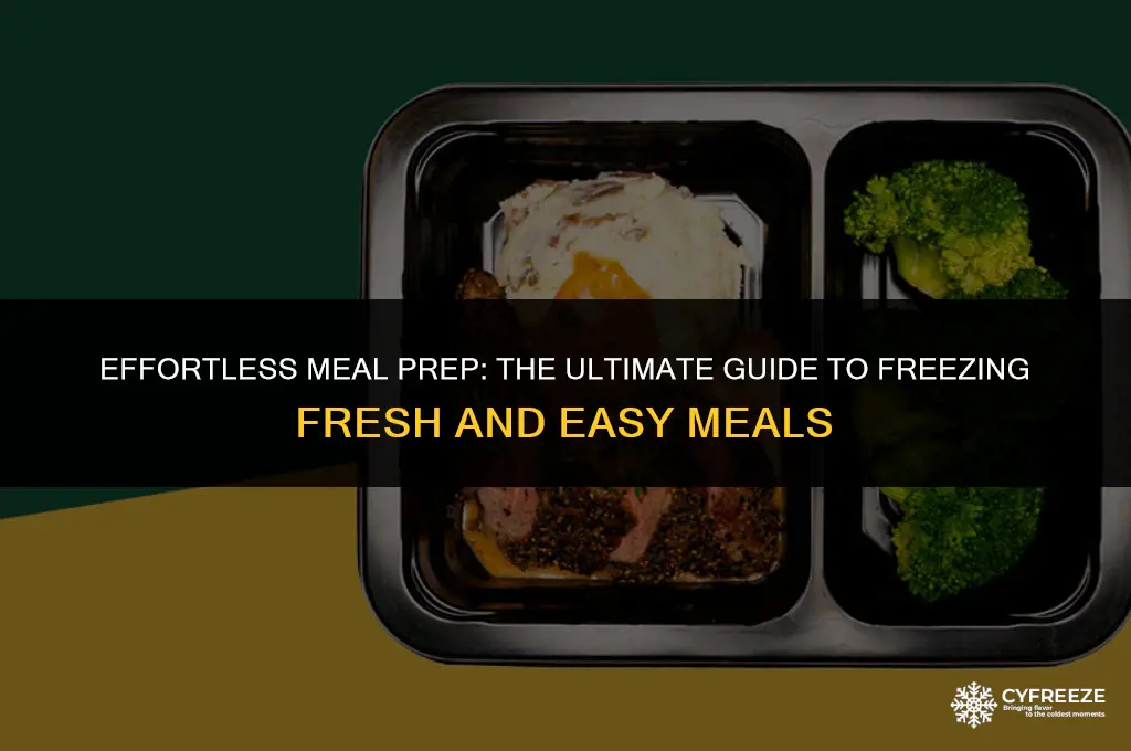 can you freeze fresh and easy meals