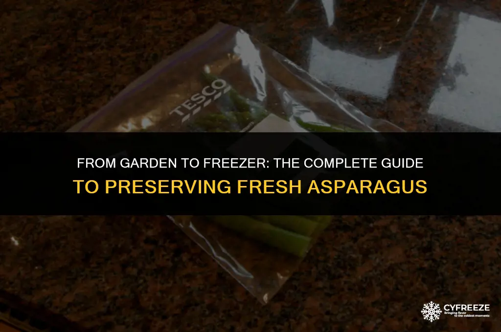 can you freeze fresh aparagus