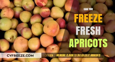 Sweet Preservation: The Ultimate Guide to Freezing Fresh Apricots