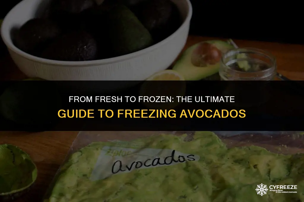 can you freeze fresh avacodo