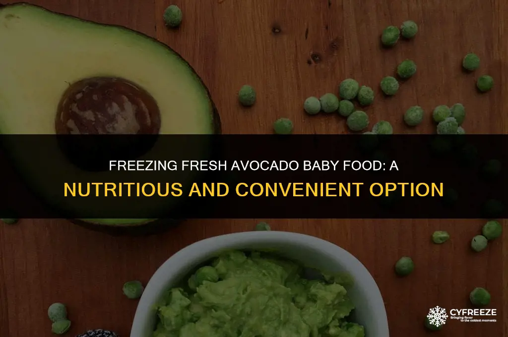 can you freeze fresh avocado baby food