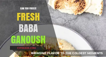 From Garden to Freezer: Preserving Fresh Baba Ganoush