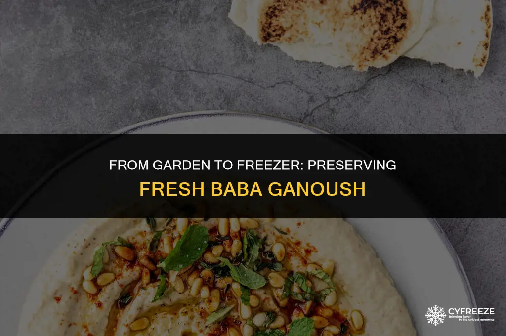 can you freeze fresh baba ganoush