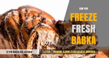 From Oven to Freezer: The Ultimate Guide to Preserving Fresh Babka