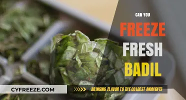Exploring the Freezing Potential of Fresh Badil: A Comprehensive Guide