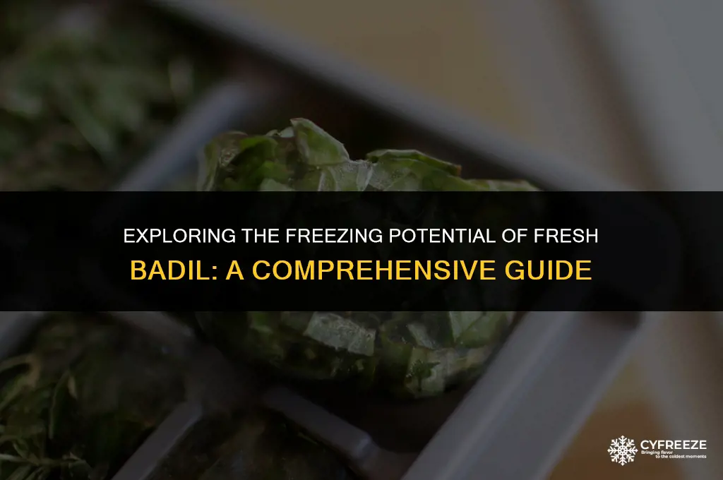 can you freeze fresh badil