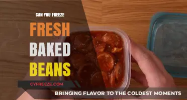 From Oven to Freezer: The Ultimate Guide to Preserving Fresh Baked Beans