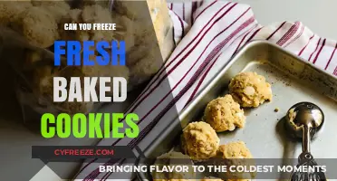 From Oven to Freezer: The Ultimate Guide to Preserving Fresh Baked Cookies