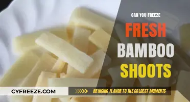 Preserving Nature's Bounty: A Guide to Freezing Fresh Bamboo Shoots