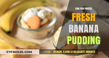 Chill Out: The Ultimate Guide to Freezing Fresh Banana Pudding