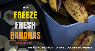 From Fresh to Frozen: The Ultimate Guide to Banana Preservation