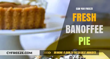 Can You Freeze Fresh Banoffee Pie: A Complete Guide