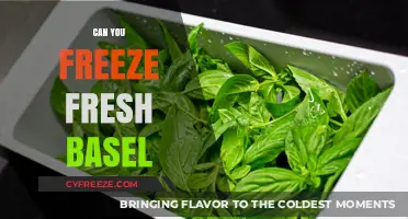 From Garden to Freezer: Preserving the Freshness of Basil