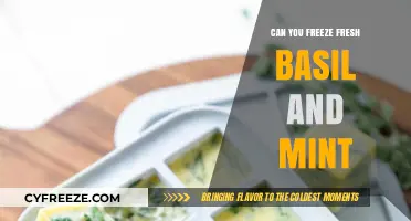 Preserve the Flavor: Freezing Fresh Basil and Mint Made Easy
