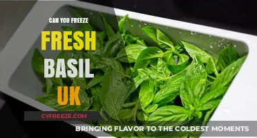 Preserve the Flavor: Freezing Fresh Basil in the UK