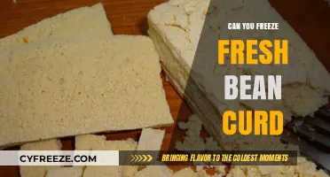 Exploring the Art of Freezing Fresh Bean Curd: A Comprehensive Guide