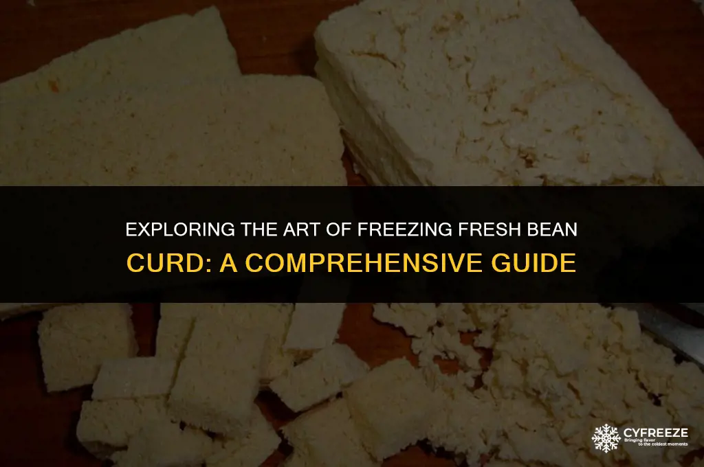 can you freeze fresh bean curd