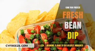 Fresh Bean Dip: The Ultimate Guide to Freezing and Preserving