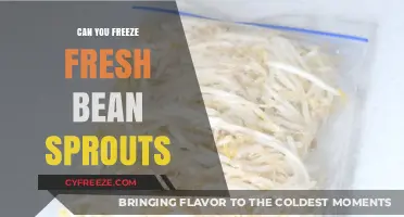 Fresh Bean Sprouts: The Ultimate Freezing Guide for Optimal Taste