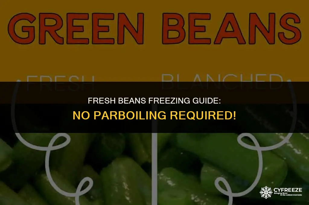can you freeze fresh beans without parboiling