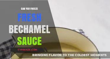 Fresh Béchamel Sauce: The Ultimate Freezing Guide