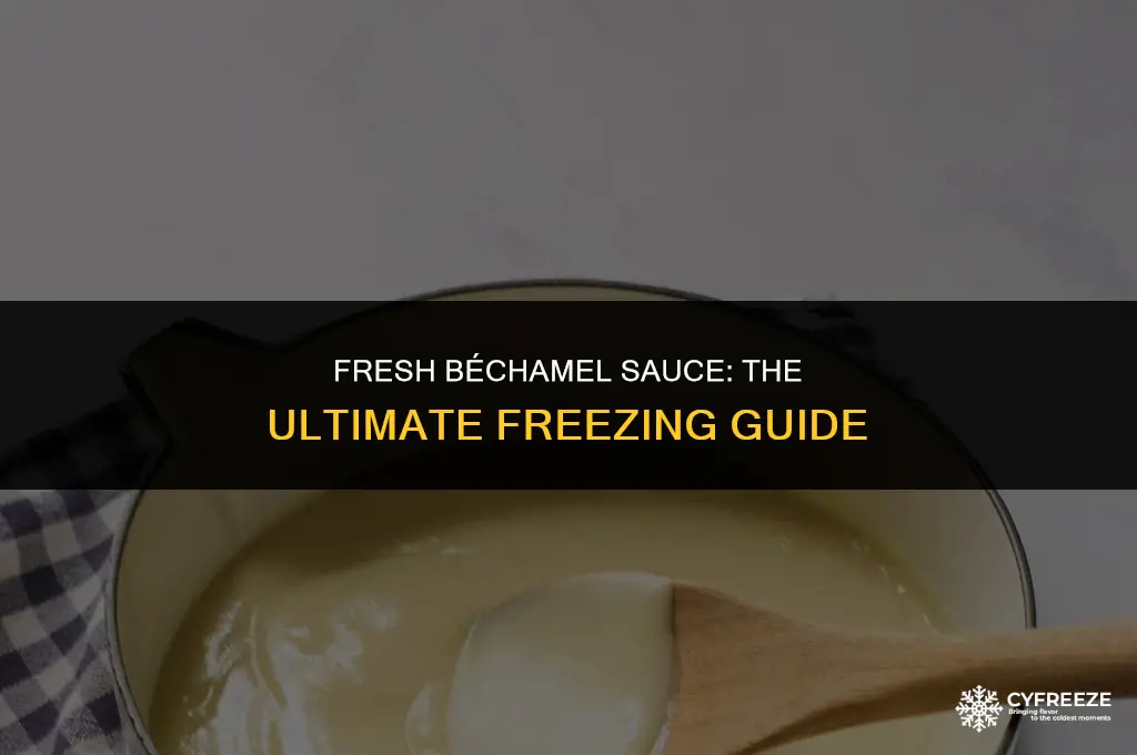 can you freeze fresh bechamel sauce