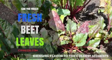 Preserving Nature's Bounty: The Ultimate Guide to Freezing Fresh Beet Leaves