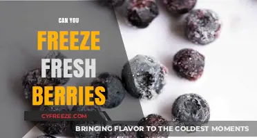 Preserving Nature's Sweetness: A Guide to Freezing Fresh Berries