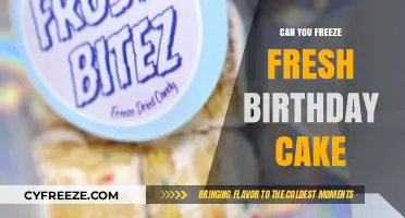 Preserving Celebration: The Ultimate Guide to Freezing Fresh Birthday Cake