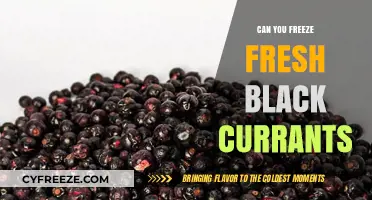 Preserving Summer's Bounty: The Complete Guide to Freezing Fresh Black Currants