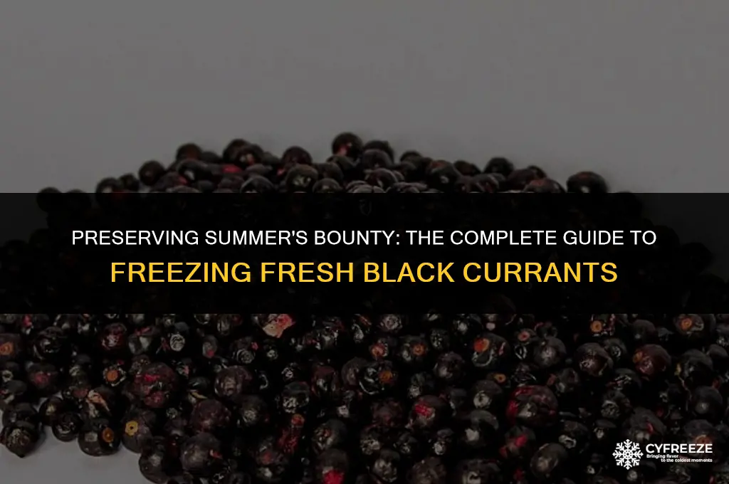can you freeze fresh black currants