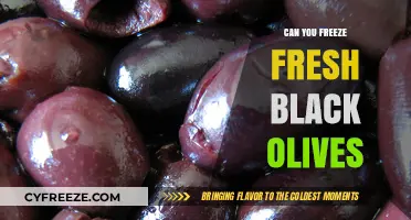Preserving Freshness: The Ultimate Guide to Freezing Black Olives