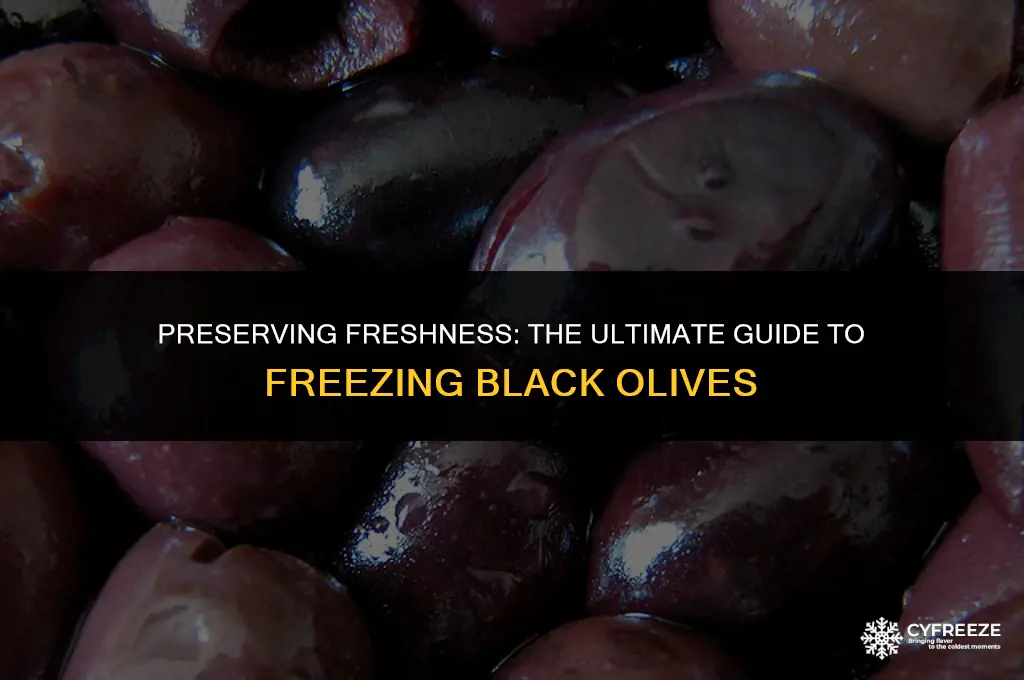 can you freeze fresh black olives