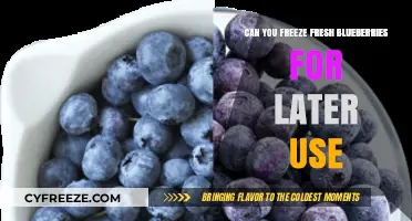 Blueberry Bliss: Freezing Fresh Blueberries for Year-Round Enjoyment