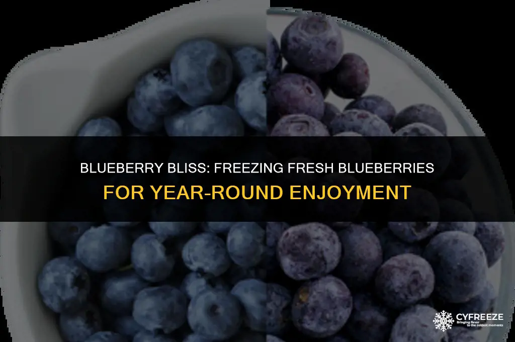 can you freeze fresh blueberries for later use