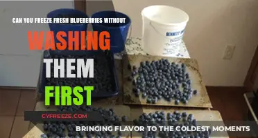 Freezing Fresh Blueberries: The Ultimate Guide to Preserving Nature's Candy