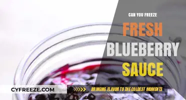 Preserve the Flavor: Freezing Fresh Blueberry Sauce Made Easy