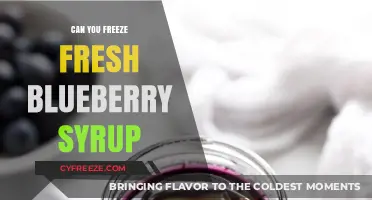 Preserving Summer's Sweetness: How to Freeze Fresh Blueberry Syrup