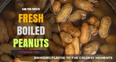 Preserving Perfection: The Ultimate Guide to Freezing Fresh Boiled Peanuts