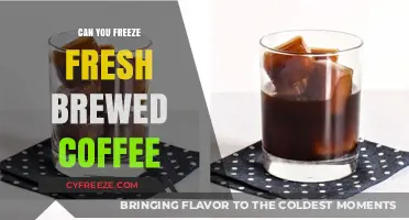 From Brew to Freeze: The Ultimate Guide to Fresh Coffee Preservation