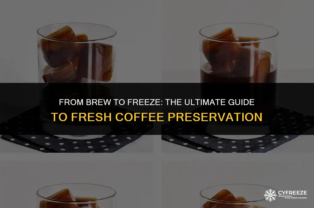 can you freeze fresh brewed coffee