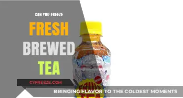 Chill Your Brew: The Complete Guide to Freezing Fresh Tea