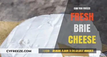 Preserving Freshness: The Ultimate Guide to Freezing Brie Cheese