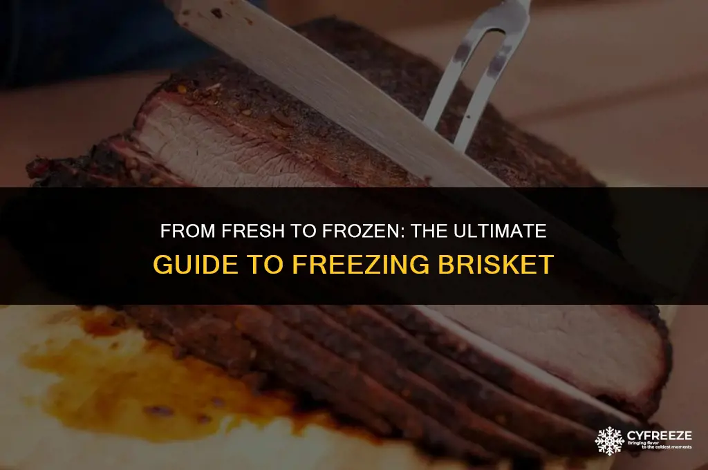 can you freeze fresh brisket