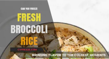Fresh Broccoli Rice: The Ultimate Guide to Freezing for Later