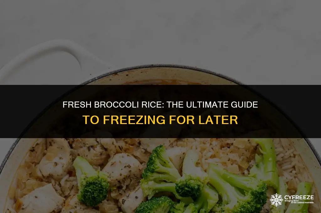can you freeze fresh broccoli rice