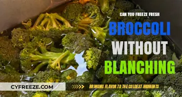 Skip the Blanching: How to Freeze Fresh Broccoli Directly