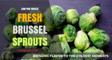 Fresh to Frozen: The Ultimate Guide to Freezing Brussel Sprouts